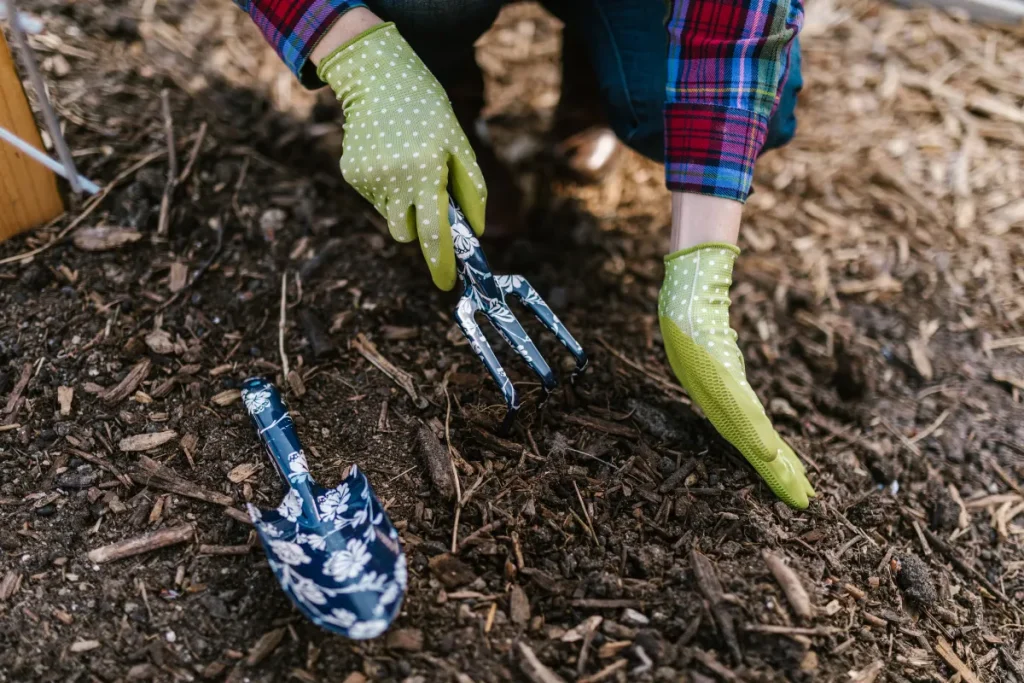Gloved hands working garden tools into mulch