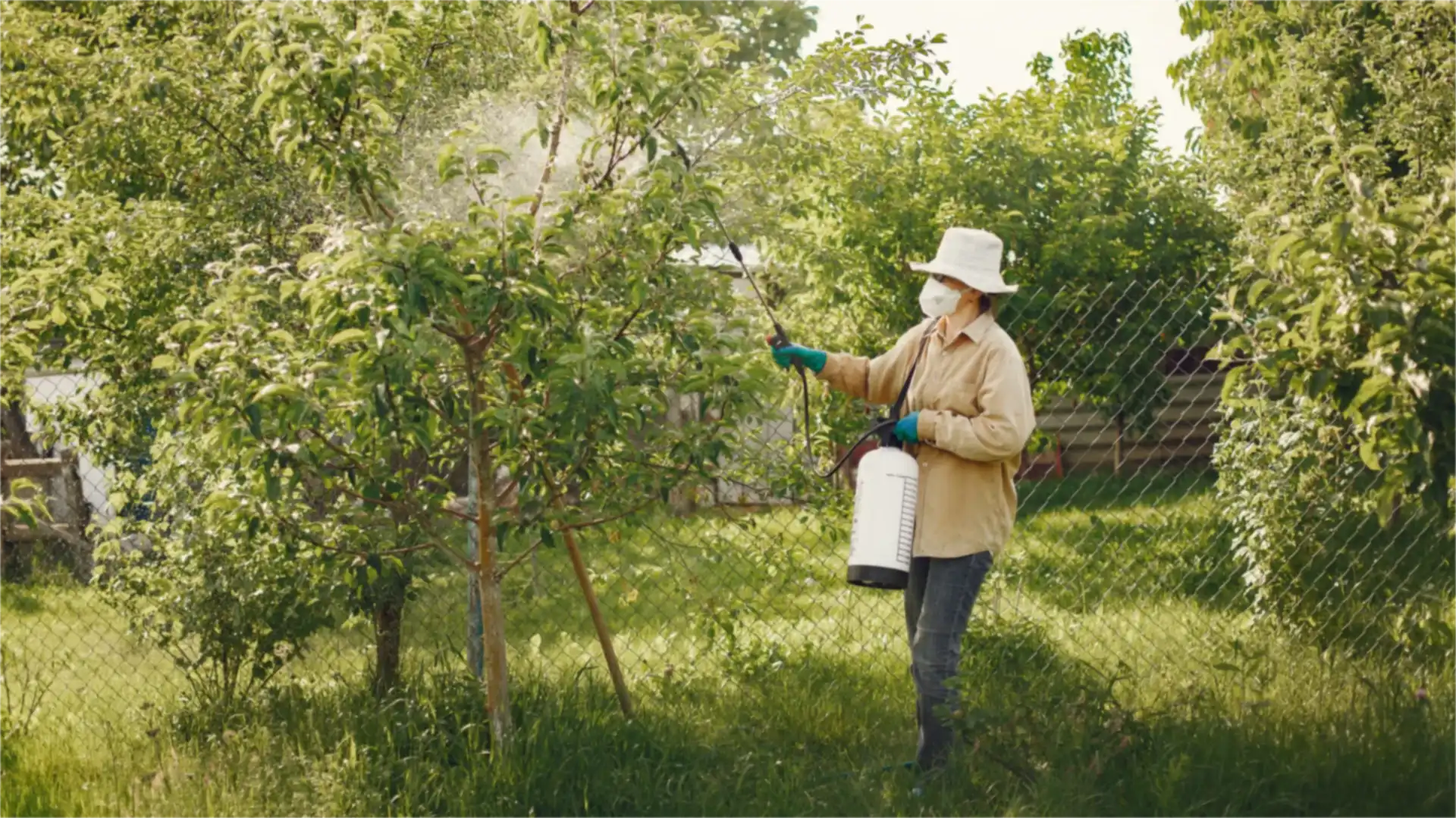 Pest control technician in protective gear treating garden trees